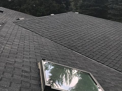 Profile Roofing