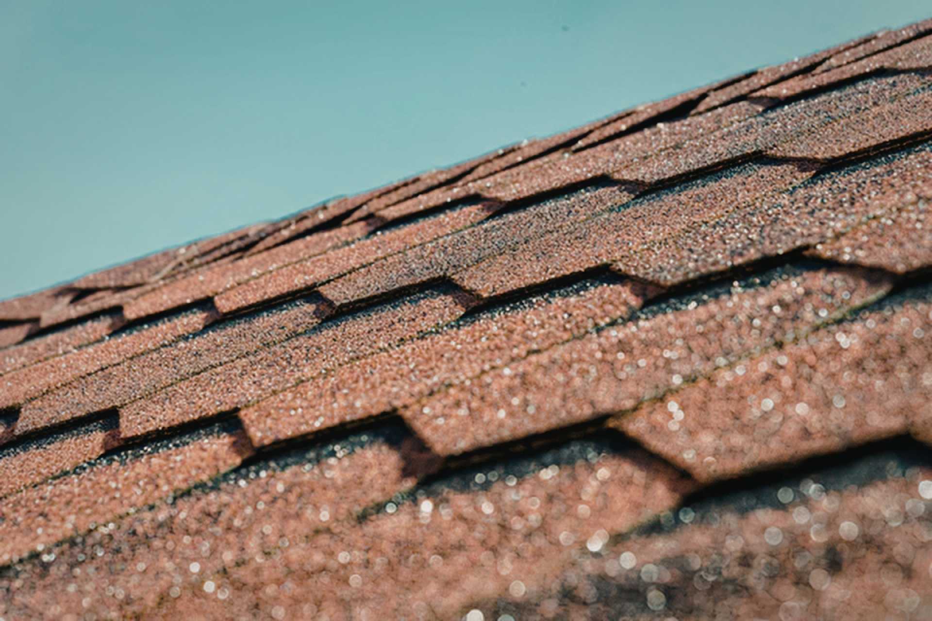 Granule Loss or Just Old Age? Reading the "Dust" in Your Gutters This April - Profile Roofing